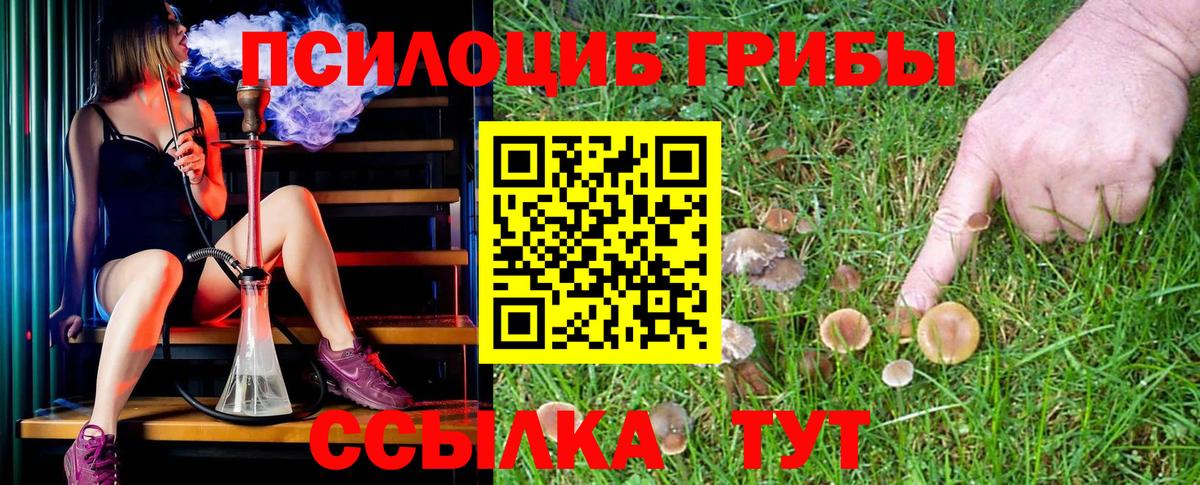 Псилоцибиновые грибы мицелий Братск
