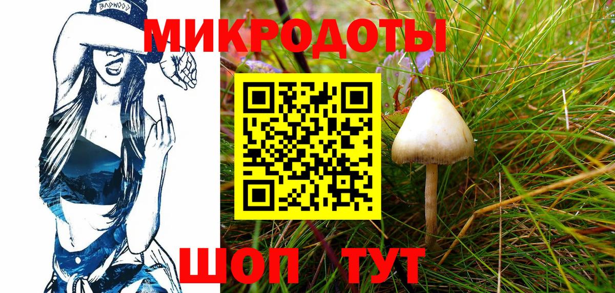 Галлюциногенные грибы Cubensis  Вход с VPN  Братск  Псилоцибиновые грибы Cubensis 
